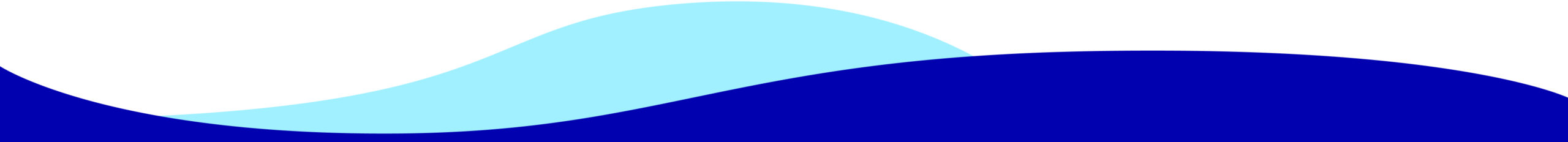 Footer section wave2